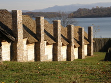 Enlarge photo 51