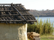 Enlarge photo 48