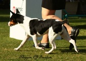 Enlarge photo 39