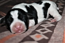 Enlarge photo 14