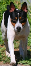Enlarge photo 35