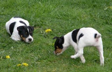 Enlarge photo 16