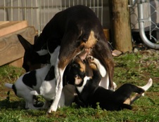 Enlarge photo 31