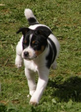 Enlarge photo 10
