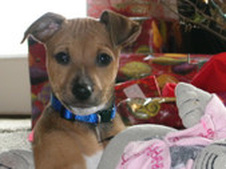 Enlarge photo 13