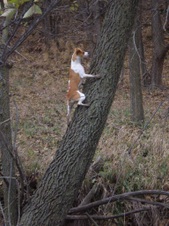 Enlarge photo 26