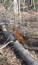 Enlarge photo 16