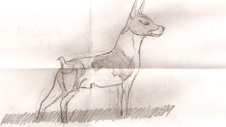 Enlarge photo 48