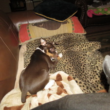 Enlarge photo 92