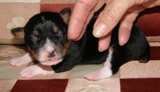 Enlarge photo 31