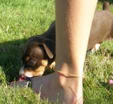 Enlarge photo 24