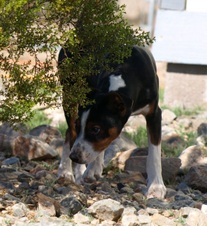Enlarge photo 26