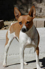Enlarge photo 31