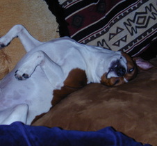 Enlarge photo 23