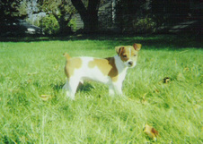 Enlarge photo 28