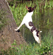 Enlarge photo 43