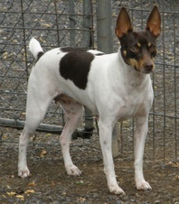 <center>RAGANRAT ESSENCE OF HIS GRACE