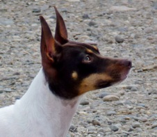 Enlarge photo 5