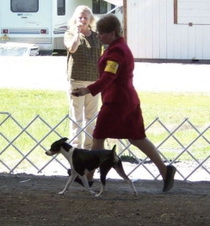 Enlarge photo 5