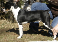 Enlarge photo 20