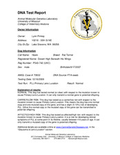 Enlarge PDF 51