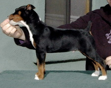Enlarge photo 69