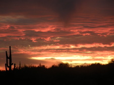 Enlarge photo 91