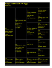 Enlarge HTML Document 93