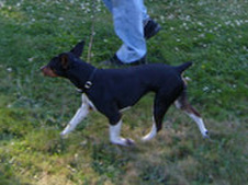 Enlarge photo 54