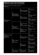 Enlarge HTML Document 2