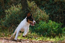 Enlarge photo 2