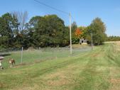 Enlarge photo 33
