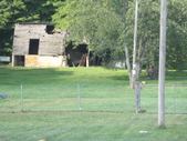 Enlarge photo 23