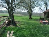 Enlarge photo 38