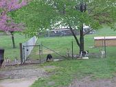 Enlarge photo 48