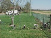 Enlarge photo 15
