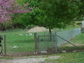 Enlarge photo 47