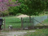Enlarge photo 46