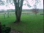 Enlarge photo 43