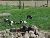 Enlarge photo 39