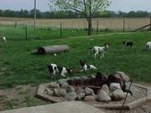 Enlarge photo 40