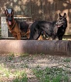 Enlarge photo 21