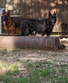 Enlarge photo 22