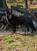 Enlarge photo 168