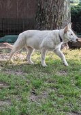 Enlarge photo 112