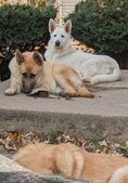 Enlarge photo 15
