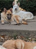 Enlarge photo 17
