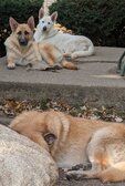 Enlarge photo 32