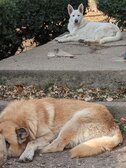 Enlarge photo 26