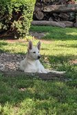 Enlarge photo 150